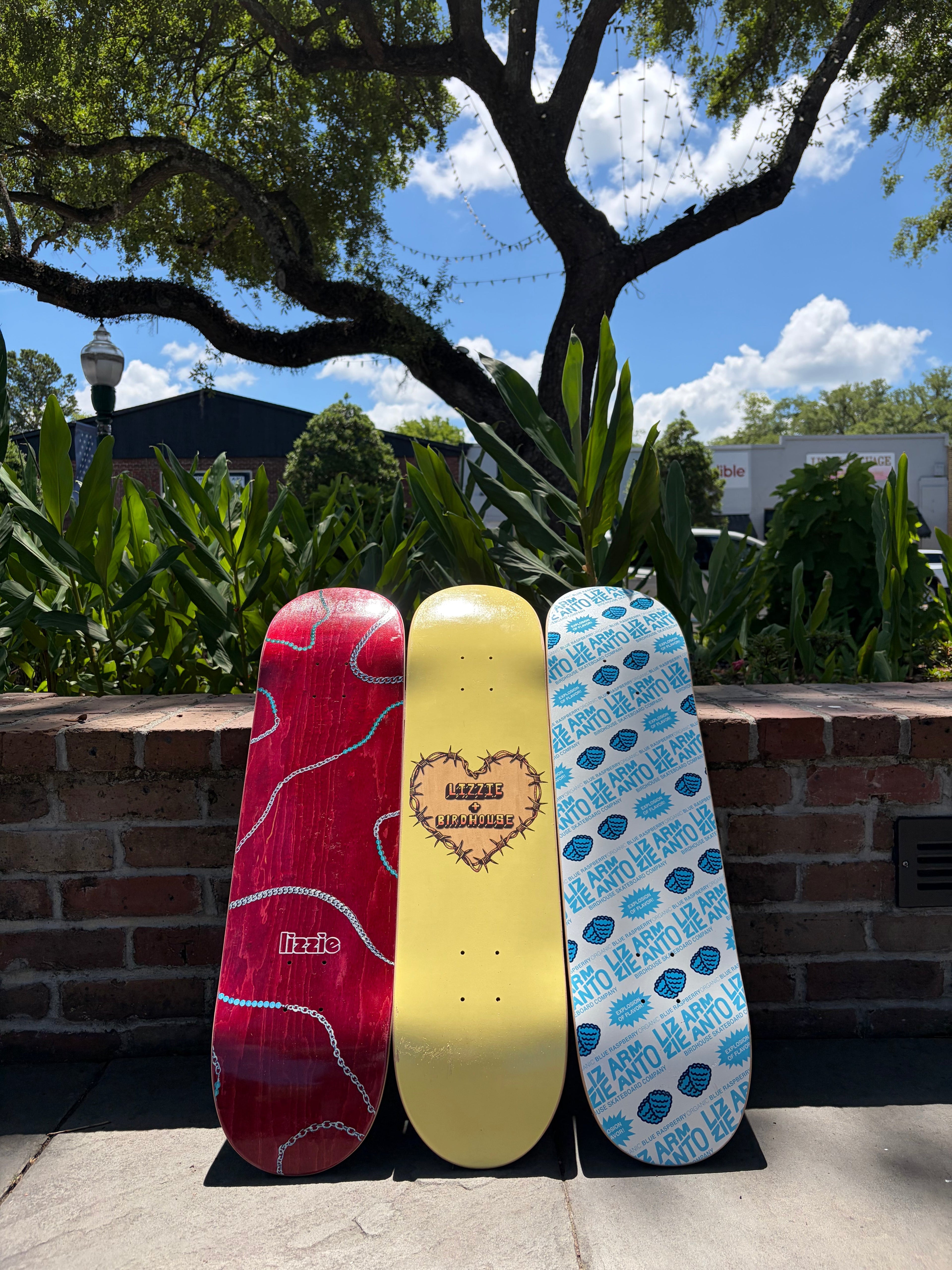 Who is Lizzie Armanto? The Skater Behind The Birdhouse Decks | Midnight Owl Skateshop