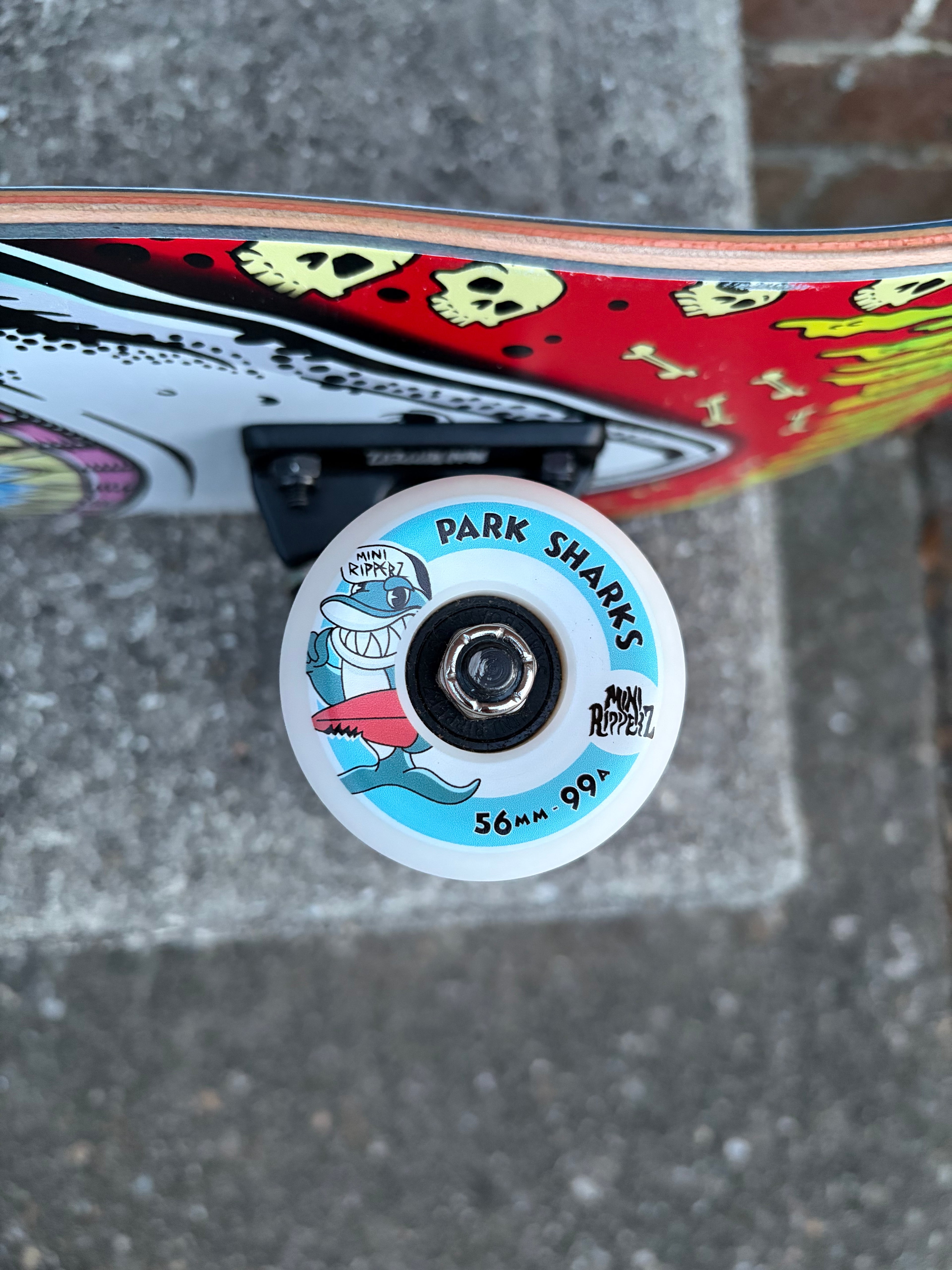 Mini Ripperz- Shark Gnar Complete